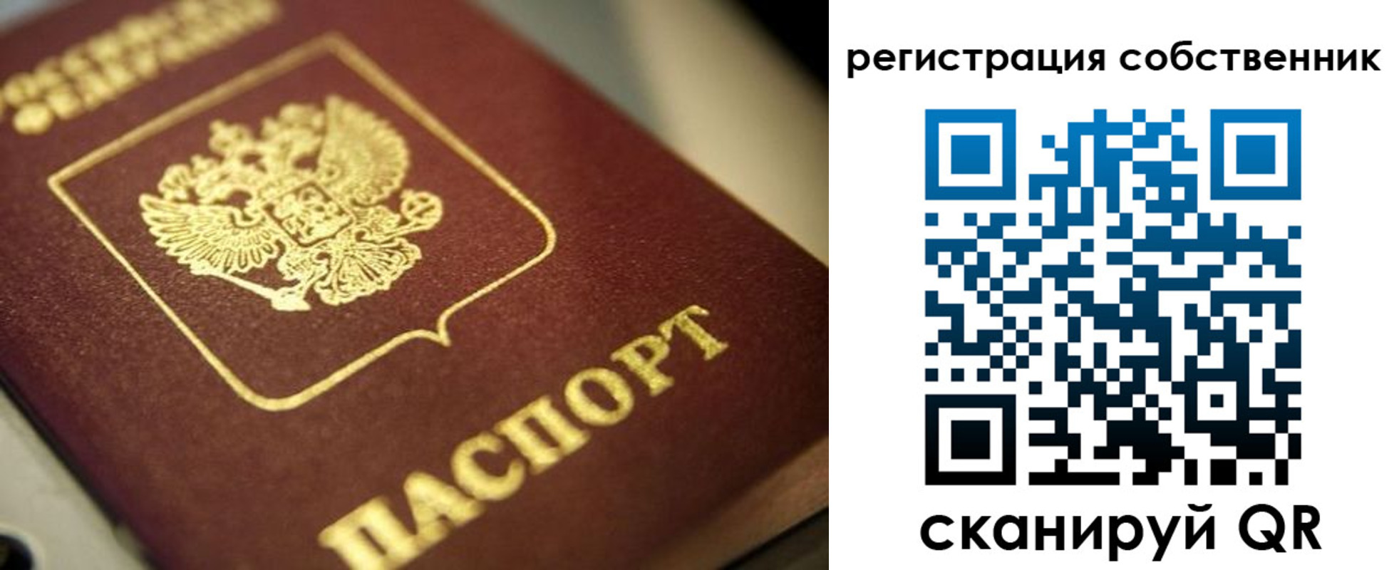 прописка в Волоколамске